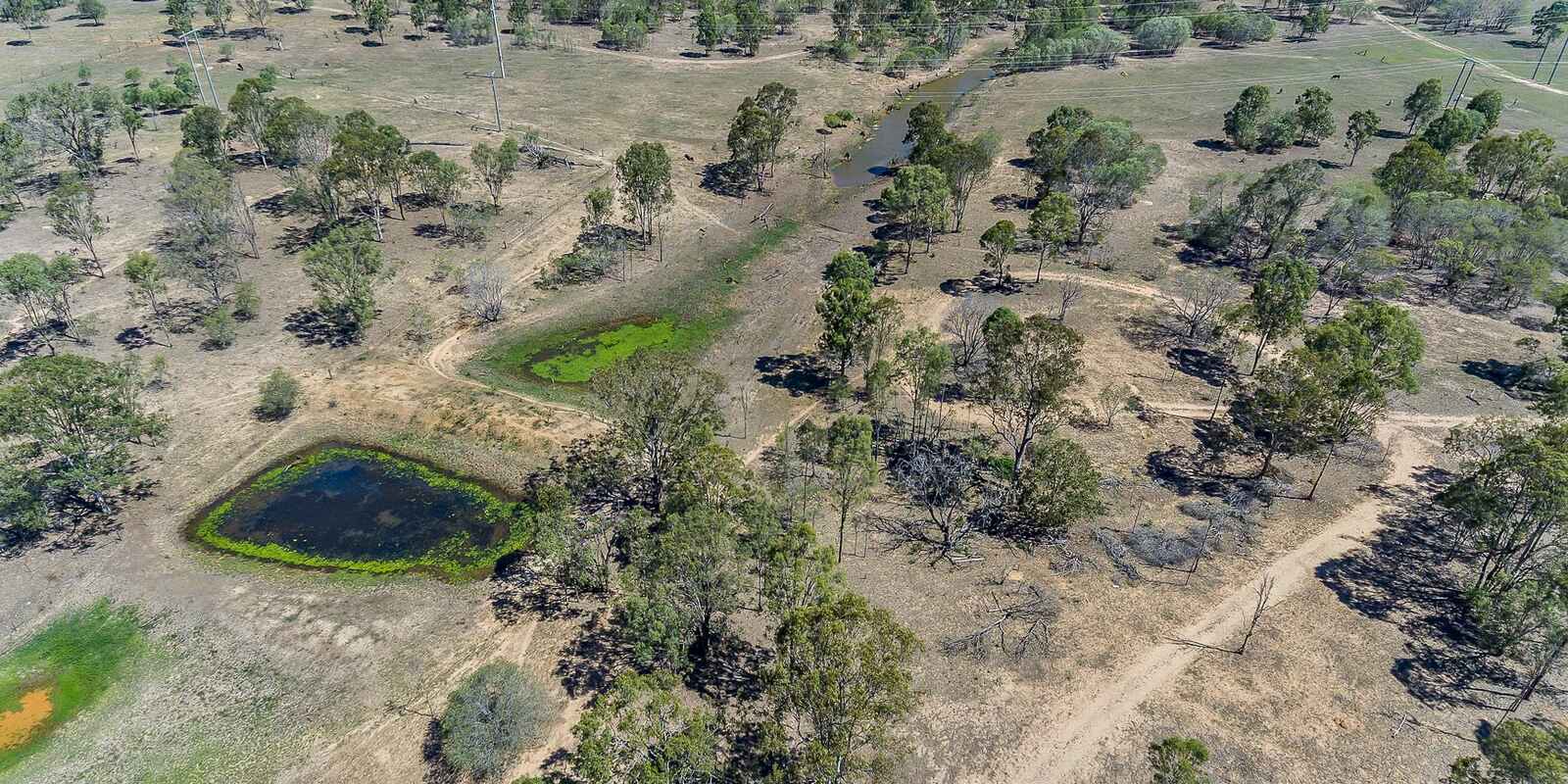 315 Walkers Road South Bingera