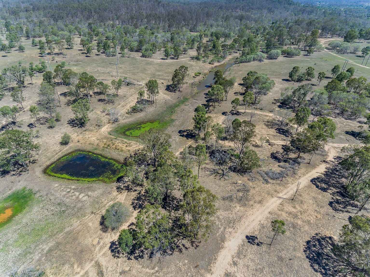 315 Walkers Road South Bingera