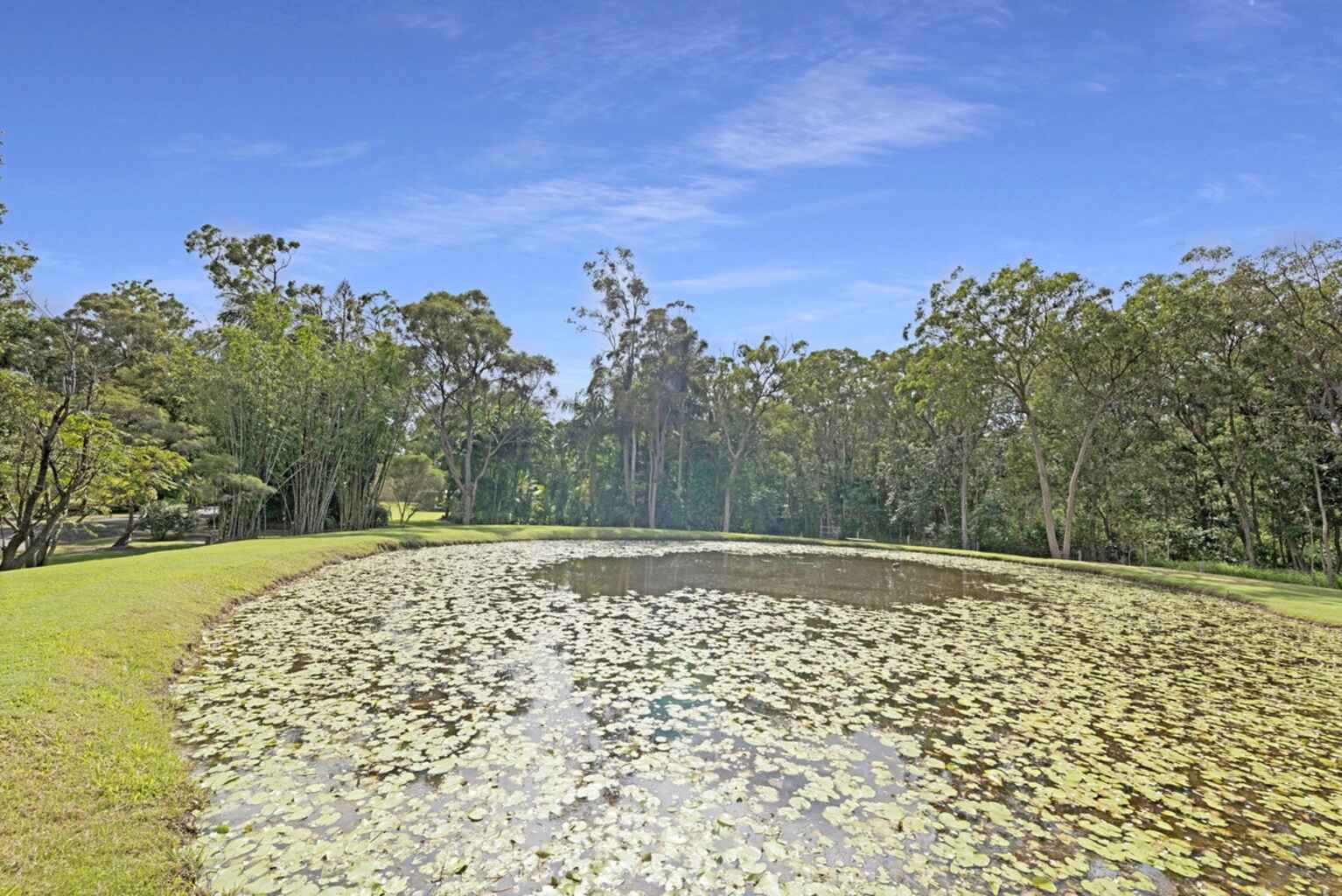 298 Ten Mile Road Sharon