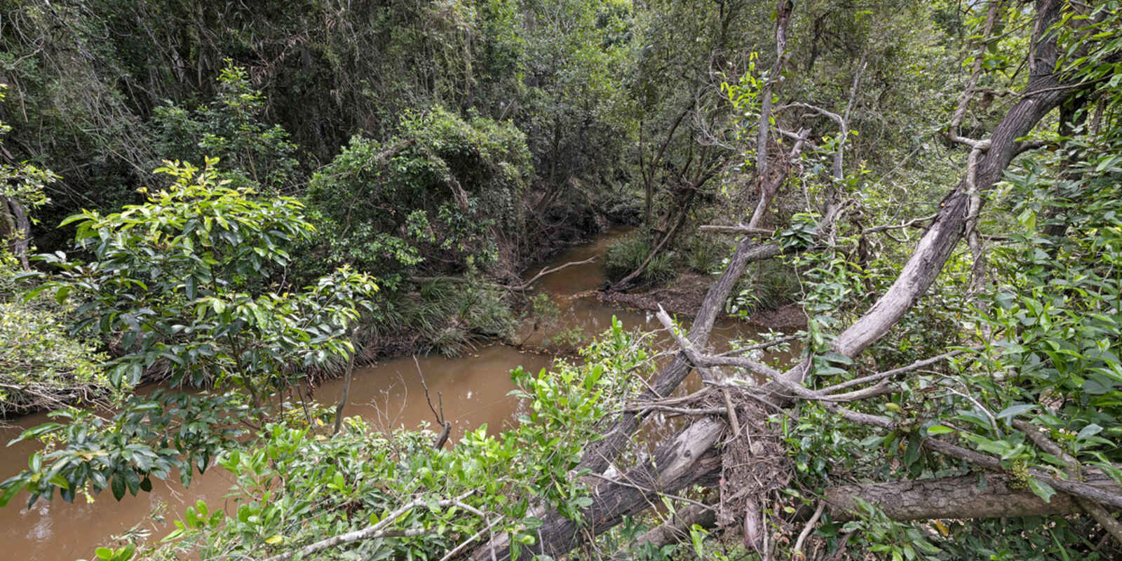 298 Ten Mile Road Sharon 298 Ten Mile Road Sharon