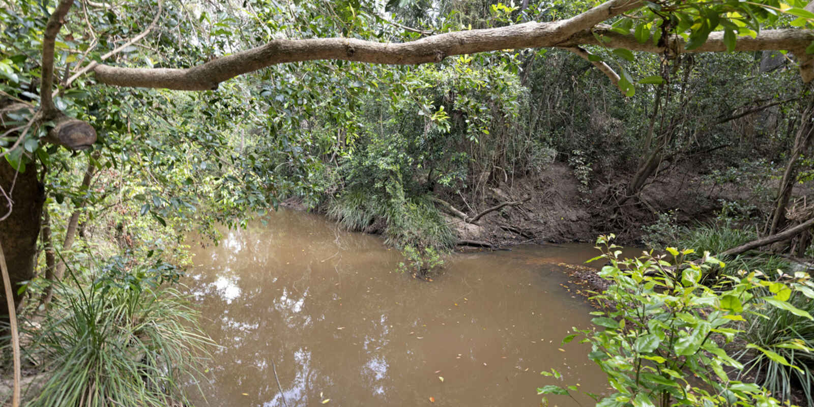 298 Ten Mile Road Sharon 298 Ten Mile Road Sharon