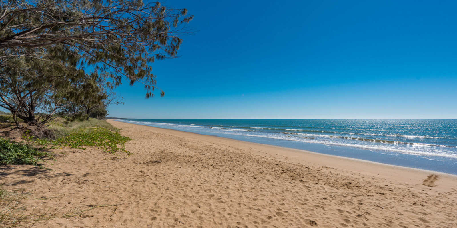 54 Palm View Drive Moore Park Beach