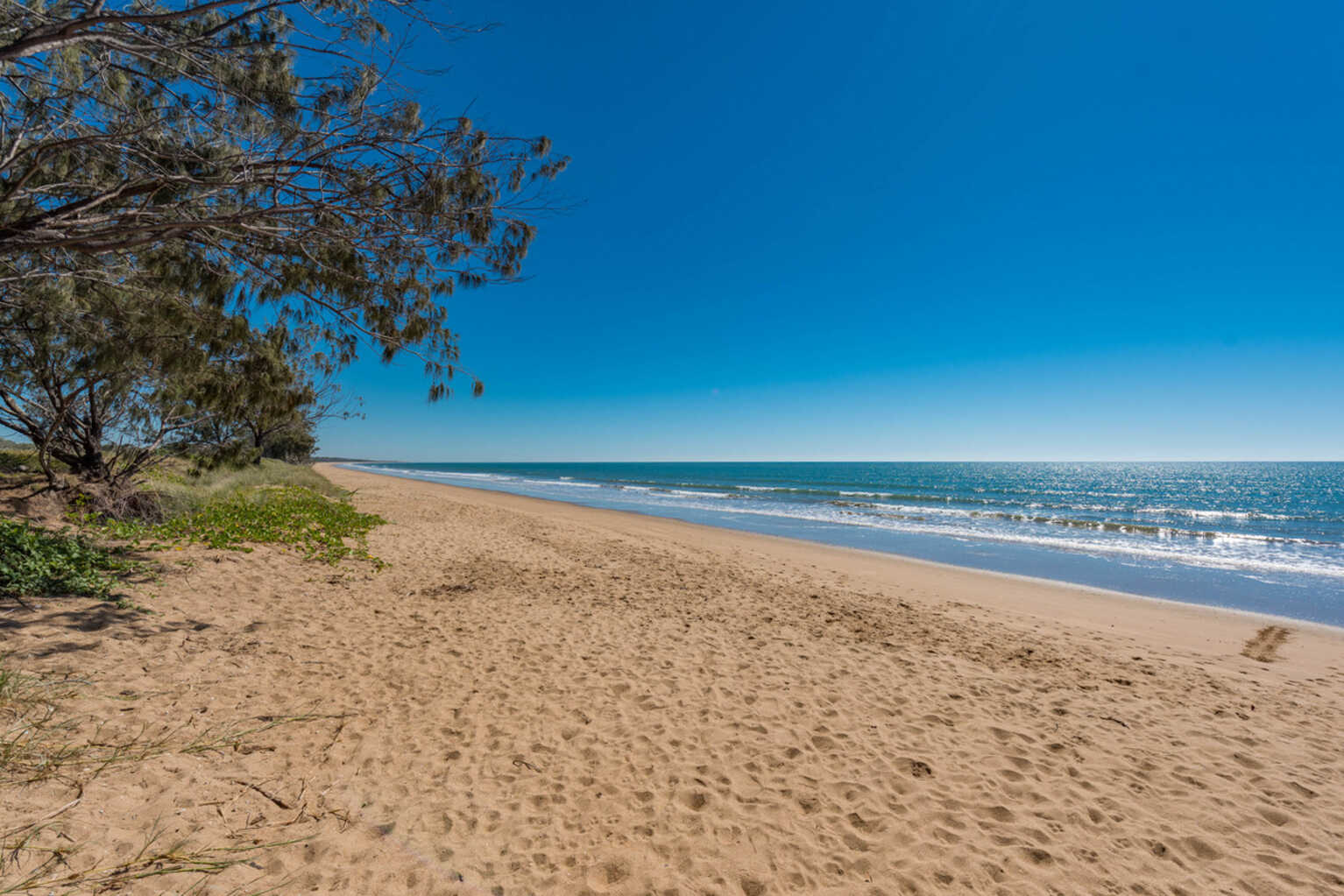 54 Palm View Drive Moore Park Beach
