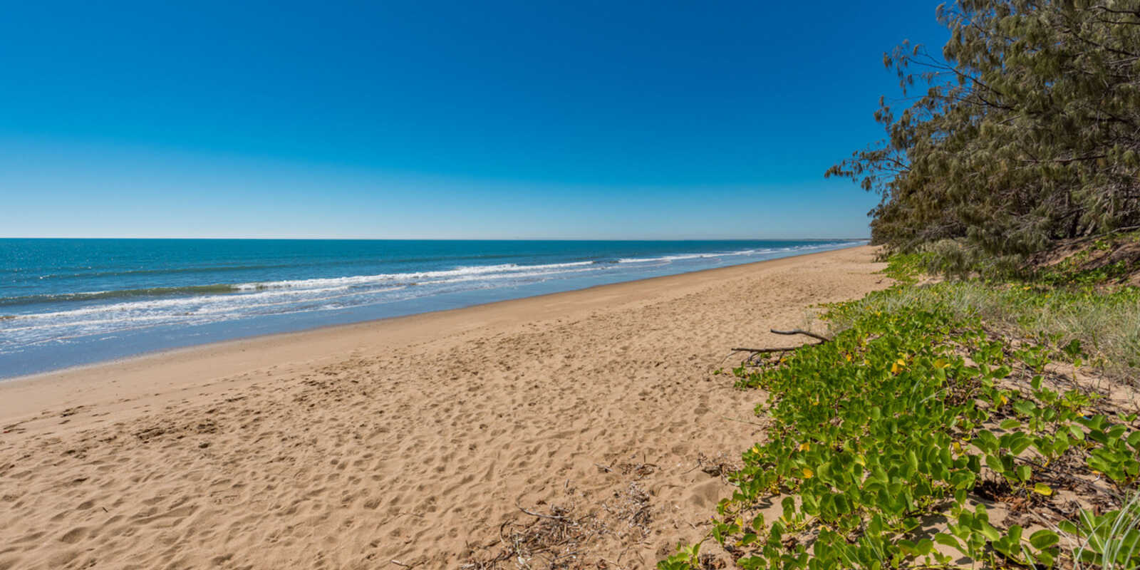 54 Palm View Drive Moore Park Beach