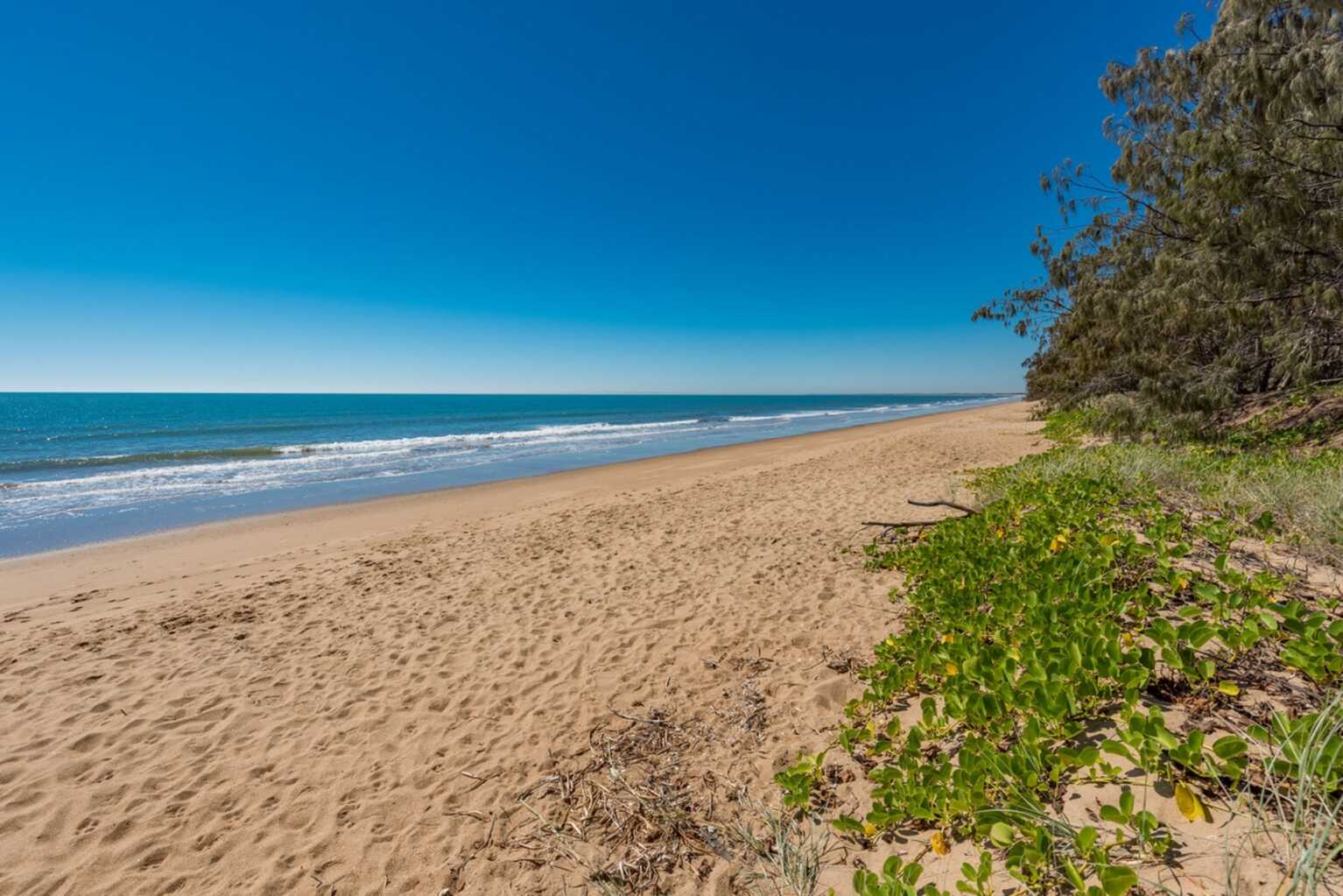 54 Palm View Drive Moore Park Beach