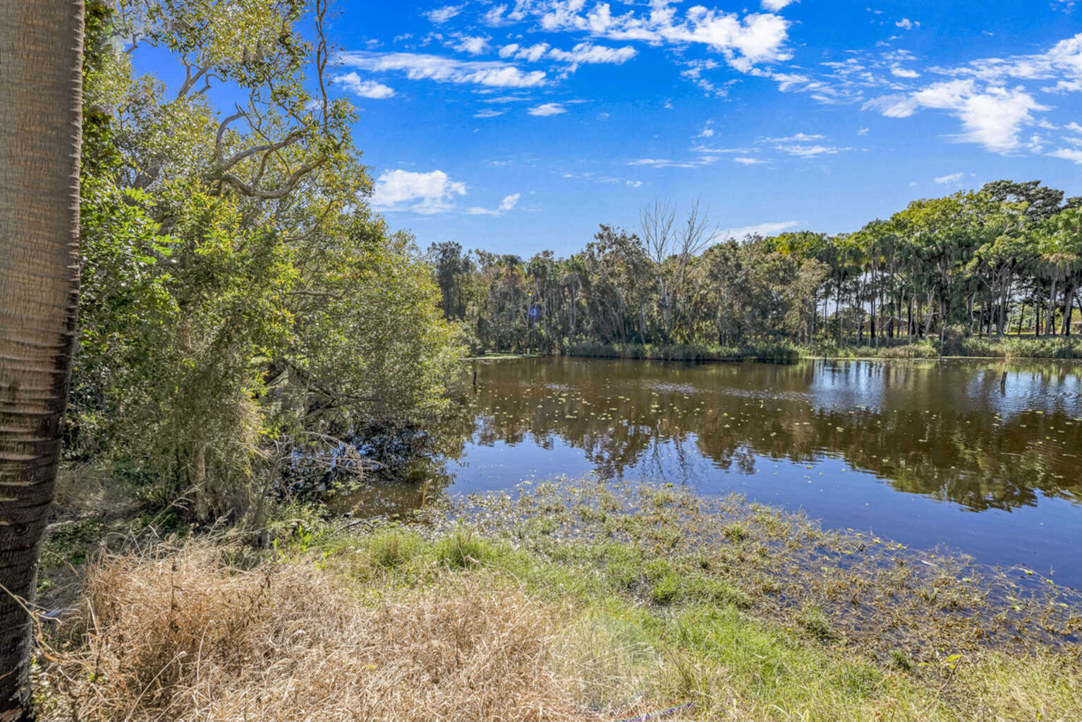 17 Woodlands Lane Moore Park Beach