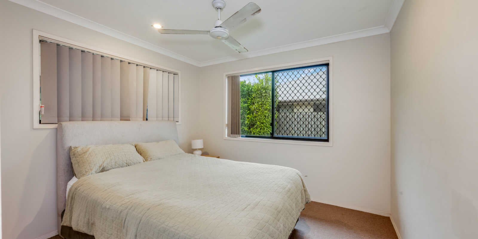 44 Greathead Road Ashfield 44 Greathead Road Ashfield