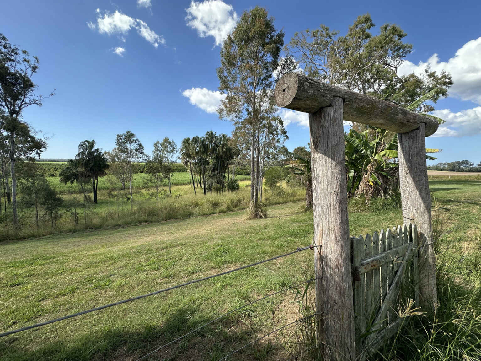 162 Plantation Road Avondale