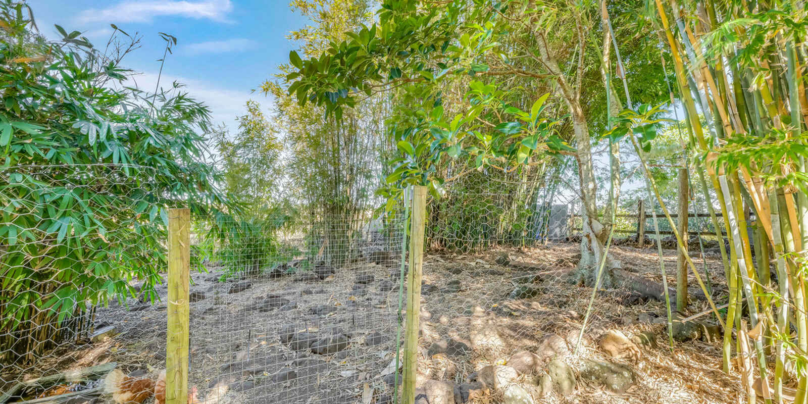 22 Mermaid Drive Innes Park